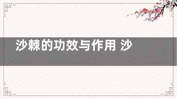 沙棘的功效与作用 沙棘是什么沙棘的功效与来自作用